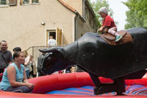 bullriding_black-devil_germanbull_01