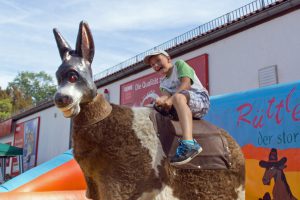ruettlewitzsch_no_bullriding_cowboyhat_02