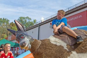 ruettlewitzsch_no_bullriding_cowboyhat_03