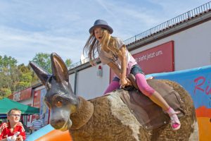 ruettlewitzsch_no_bullriding_cowboyhat_04