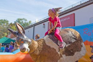 ruettlewitzsch_no_bullriding_cowboyhat_06