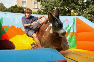 ruettlewitzsch_no_bullriding_cowboyhat_10